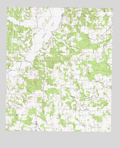 Fair Play, TX USGS Topographic Map