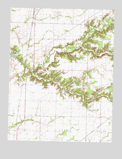 Fairman, IL USGS Topographic Map