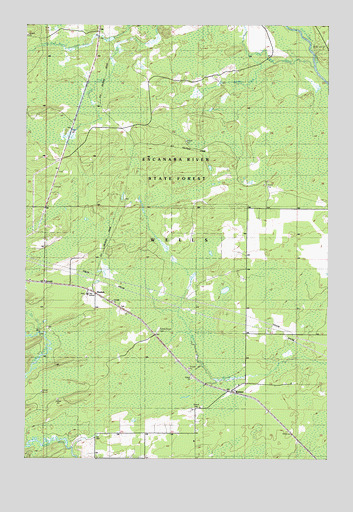 Arnold, MI USGS Topographic Map