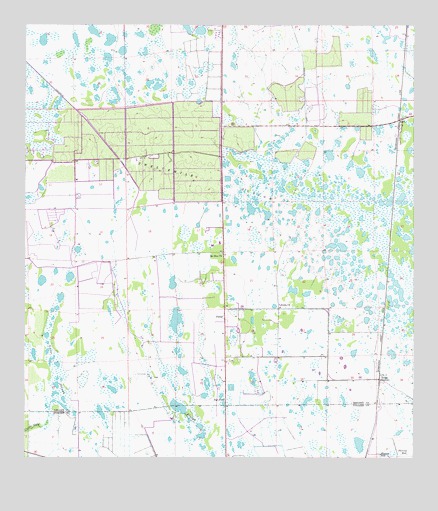 Felda, FL USGS Topographic Map