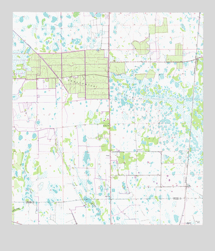 Felda, FL USGS Topographic Map