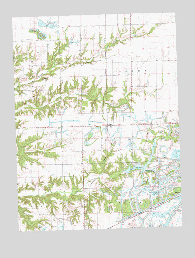 Fiatt, IL USGS Topographic Map