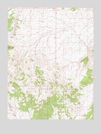 Fish Creek Basin, NV USGS Topographic Map