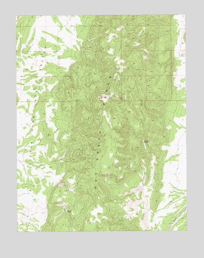 Fish Springs SE, NV USGS Topographic Map