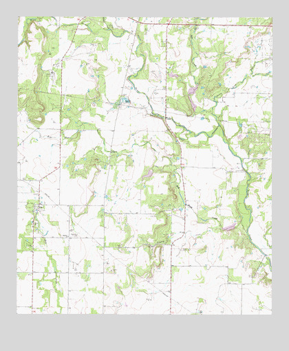 Fisk, TX USGS Topographic Map