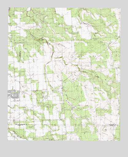 Flattop, TX USGS Topographic Map