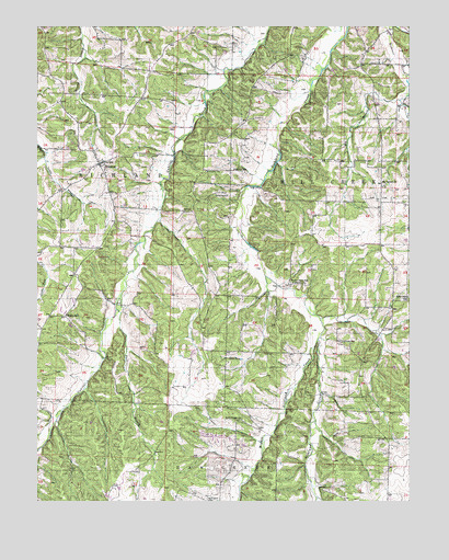 Florence, MO USGS Topographic Map