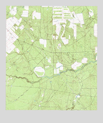 Flying W Ranch, TX USGS Topographic Map