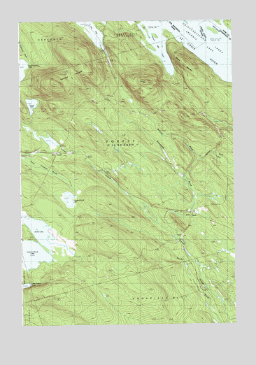 Forest, ME USGS Topographic Map
