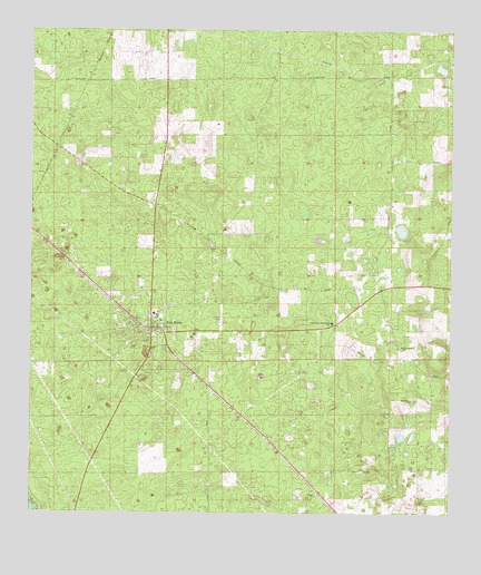 Fort White, FL USGS Topographic Map