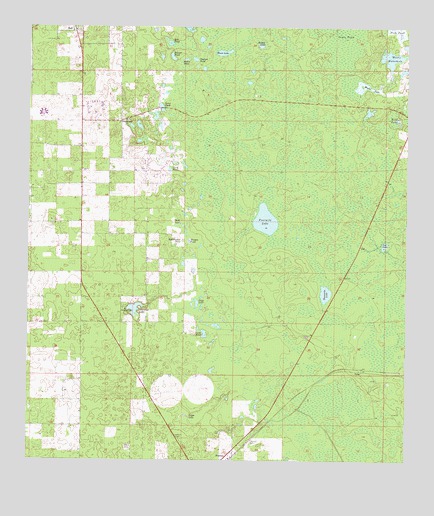 Fourmile Lake, FL USGS Topographic Map