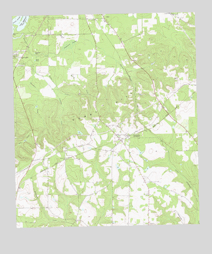 Fowlstown, GA USGS Topographic Map
