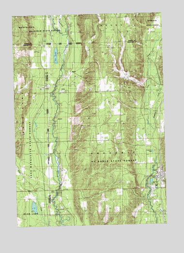 Frederic, MI USGS Topographic Map
