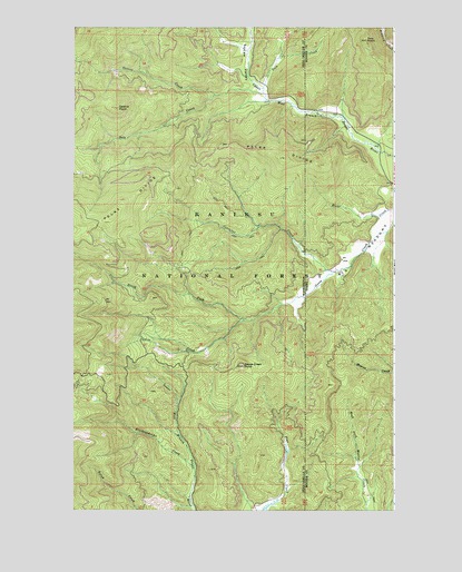 Galena Point, WA USGS Topographic Map