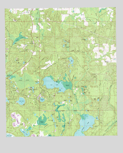 Gap Lake, FL USGS Topographic Map