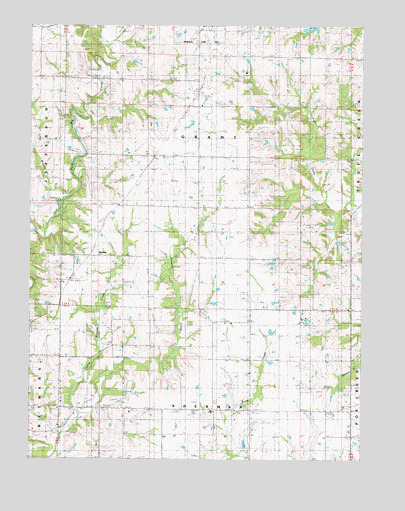 Gardner, MO USGS Topographic Map
