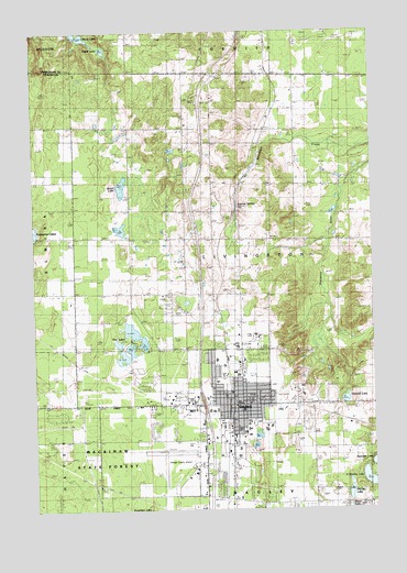 Gaylord, MI USGS Topographic Map