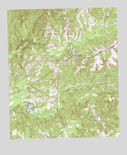 Geneva, GA USGS Topographic Map