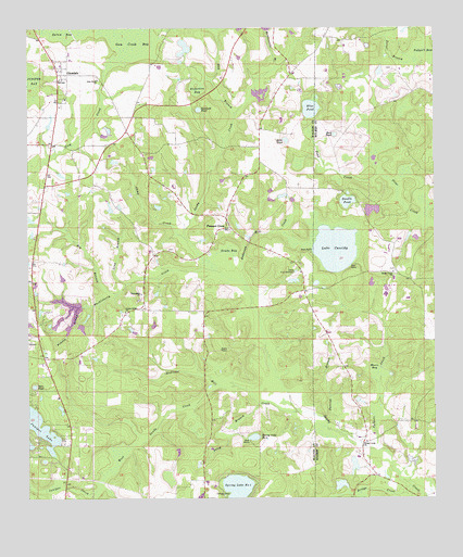 Glendale, FL USGS Topographic Map