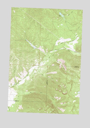 Gold Creek, MT USGS Topographic Map