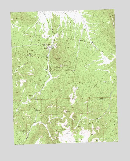 Atlanta, NV USGS Topographic Map