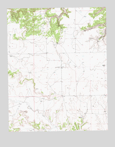 Guy, NM USGS Topographic Map