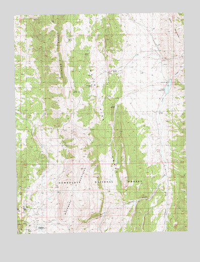 Hamilton, NV USGS Topographic Map