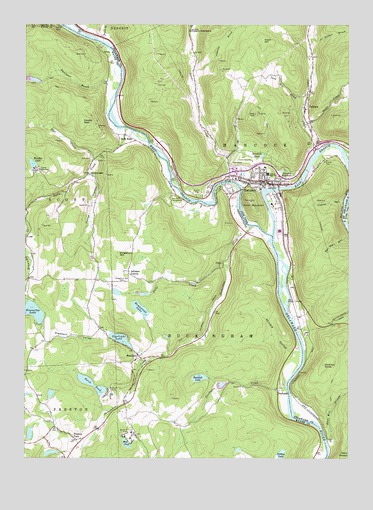 Hancock, NY USGS Topographic Map