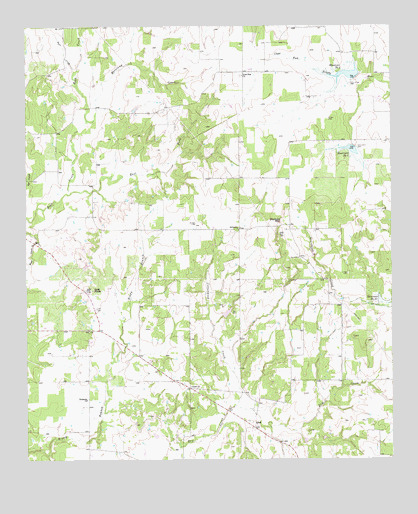 Adell, TX USGS Topographic Map