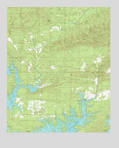 Avant, AR USGS Topographic Map