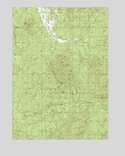 Harness Mountain, OR USGS Topographic Map