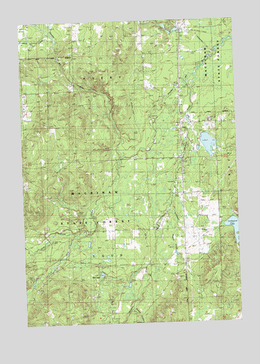 Avery, MI USGS Topographic Map