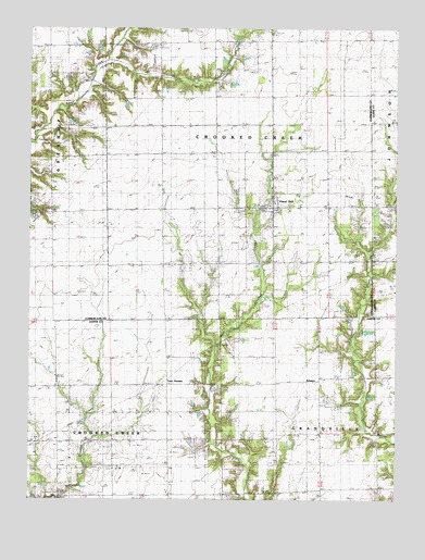 Hazel Dell, IL USGS Topographic Map
