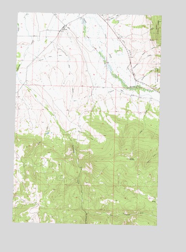 Helmville, MT USGS Topographic Map