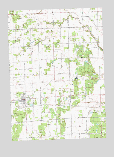 Hemlock, MI USGS Topographic Map