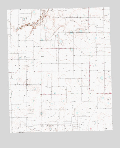 Hester Ranch, TX USGS Topographic Map
