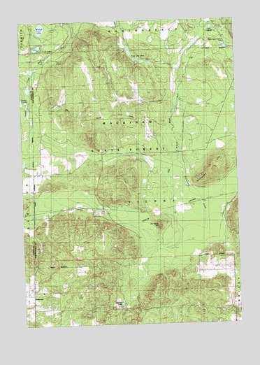 Hetherton, MI USGS Topographic Map