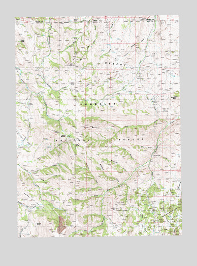 Hicks Mountain, NV USGS Topographic Map