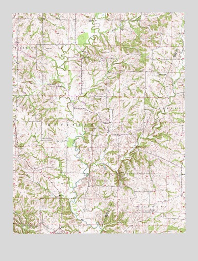 Hilldale, MO USGS Topographic Map