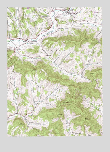 Hobart, NY USGS Topographic Map
