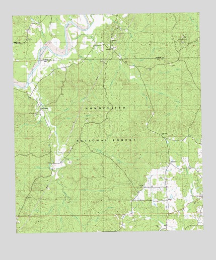 Homochitto, MS USGS Topographic Map