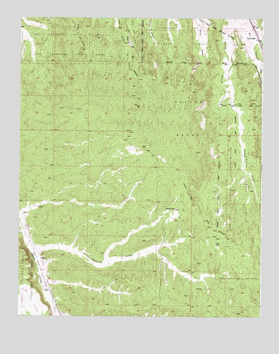 Horcado Ranch, NM USGS Topographic Map