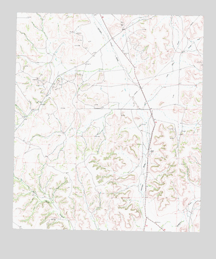 Baggett Ranch, TX USGS Topographic Map