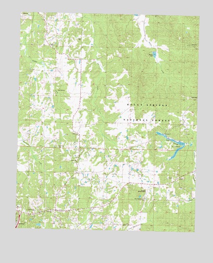 Bagley Lake, MS USGS Topographic Map