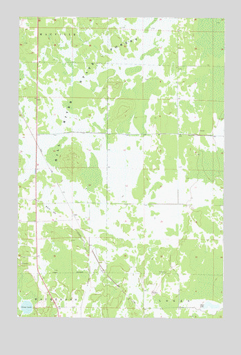 Bain, MN USGS Topographic Map