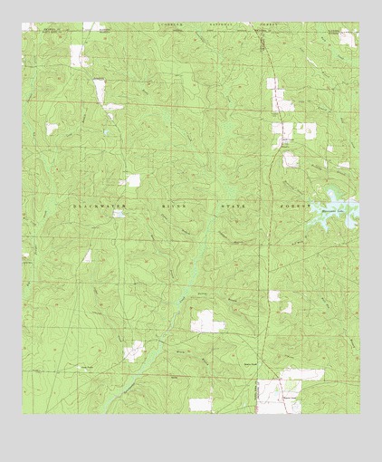 Hurricane Lake, FL USGS Topographic Map