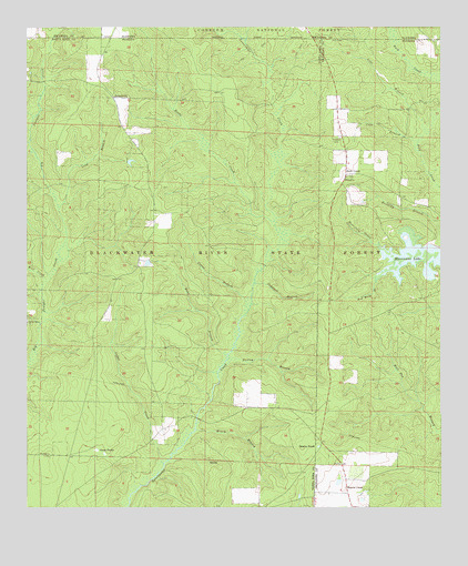 Hurricane Lake, FL USGS Topographic Map