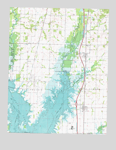Ina, IL USGS Topographic Map