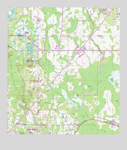Intercession City, FL USGS Topographic Map