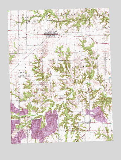 Ipava, IL USGS Topographic Map